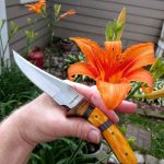 Timber-Rattler-review-6